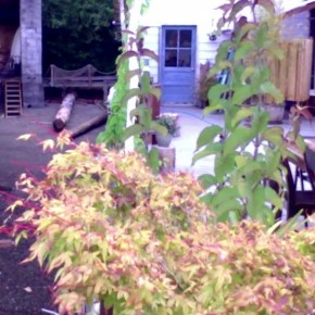 Old friends and short&nbsp;visits