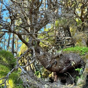 Cape Decision Lighthouse Day&nbsp;#2