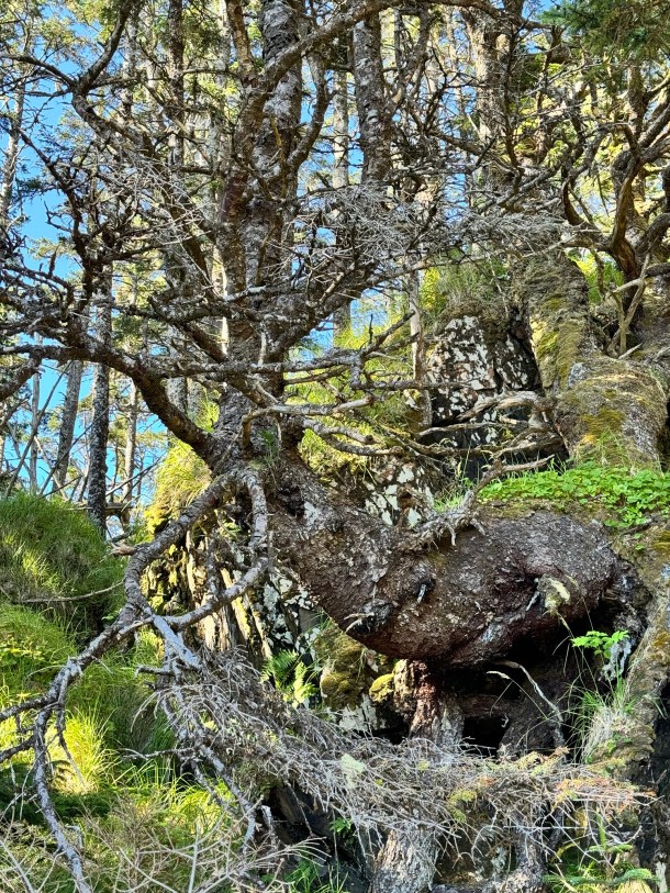 Cape Decision Lighthouse Day&nbsp;#2